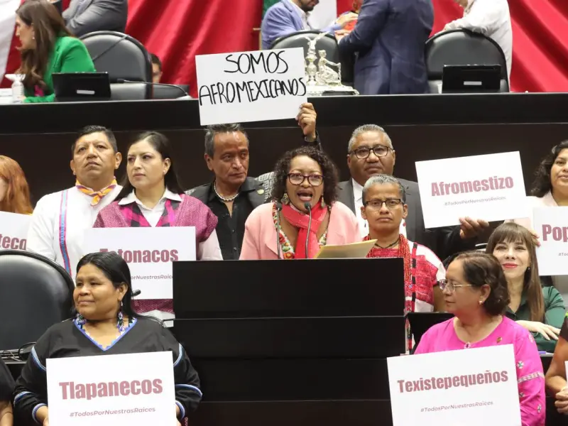 Posicionamiento a favor de la reforma al artículo 2° Constitucional en materia de Pueblos Indígenas y Afromexicanos.
